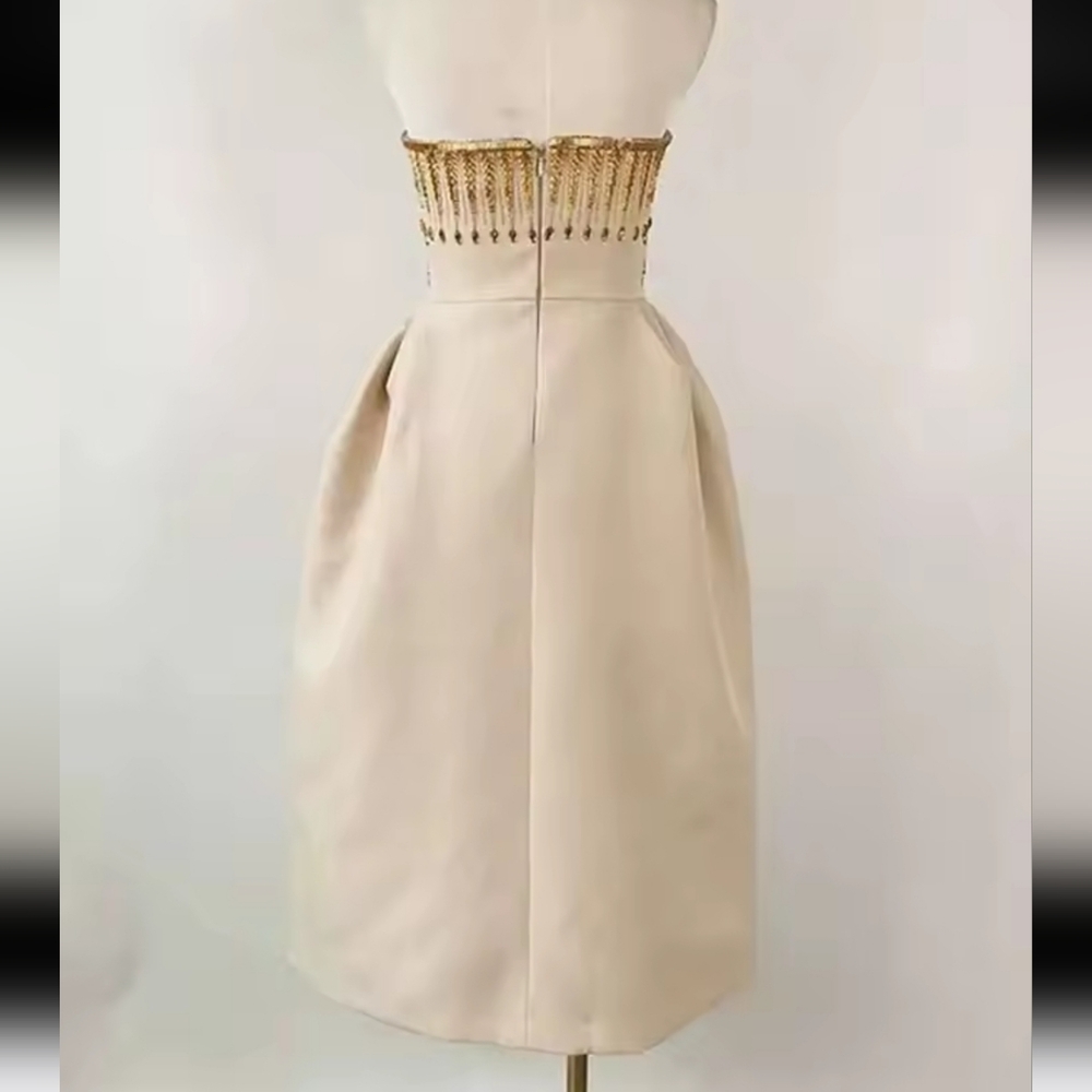 Runway Embroidered Top Midi Dress Strapless - Picture 12 of 12